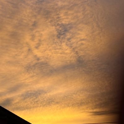 BTXqiLoDUZ93537's profile picture. 