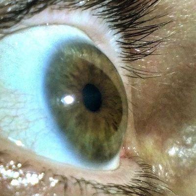 uwagabundo's profile picture. Em construção...