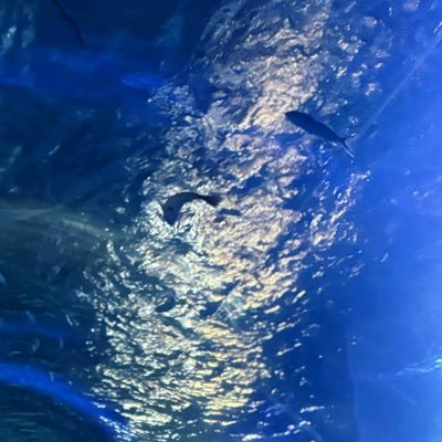 ryouku12345's profile picture. lol ゴールド復帰勢 lolレート歴関係なく募集してます ガチならガチでコールするし、エンジョイなら楽しくやりましょ メインTop全レーン練習中