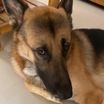 KimchiYee66472's profile picture. 