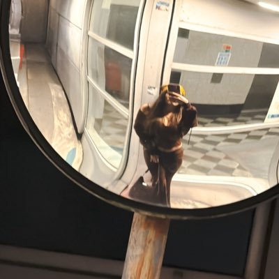 bybrunafilipa's profile picture. 