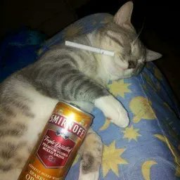 7ZCLIFF's profile picture. chick fil a killer

discord: zetage_

#sevienenlossanguchezzz