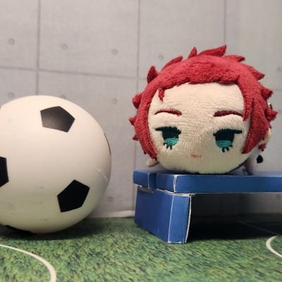 メイコ🌟さんのプロフィール画像
