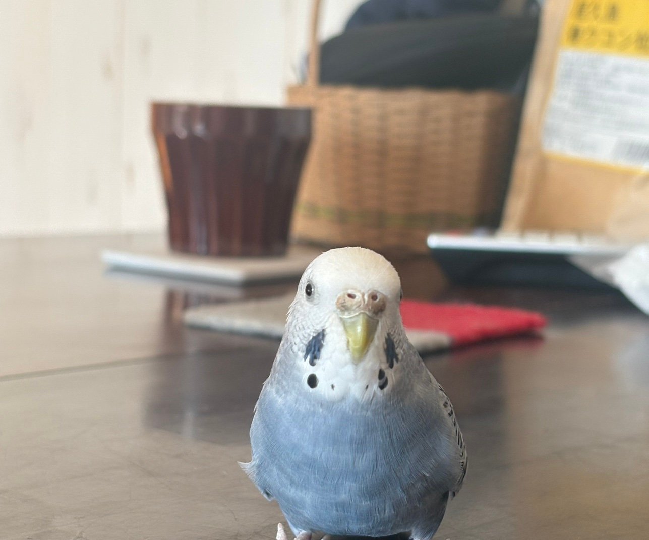 Yamaweedlots's profile picture. 