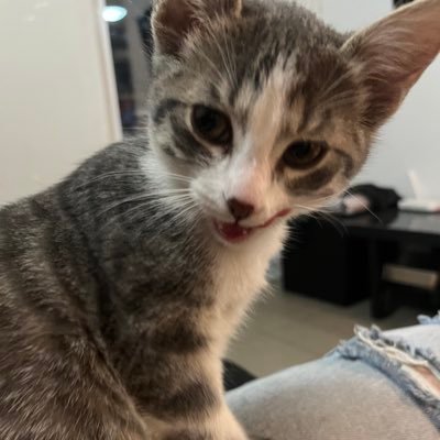 shrisshy's profile picture. 