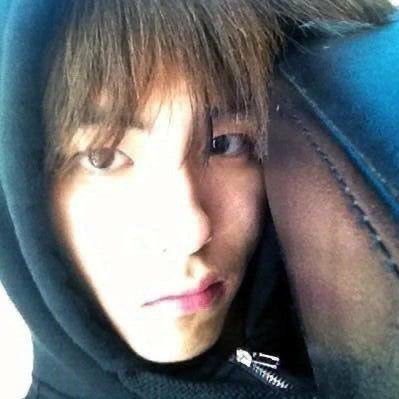 springcarved's profile picture. 이쯔미