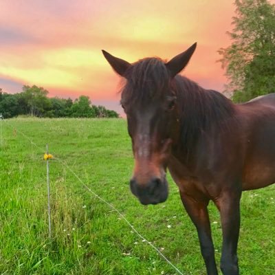 Willie600640663's profile picture. I’m willie