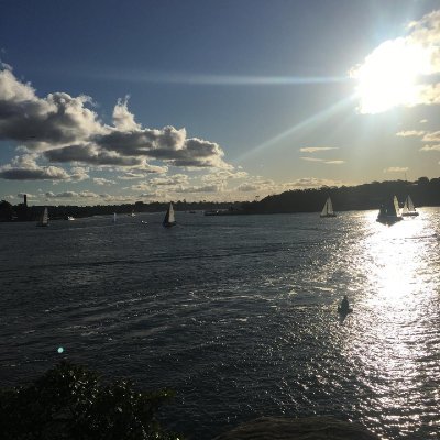 Pearl_42392's profile picture. 🇺🇸 Flying solo, loving my country | Faith in God, trust in liberty | America’s worth it ❤️🤍💙