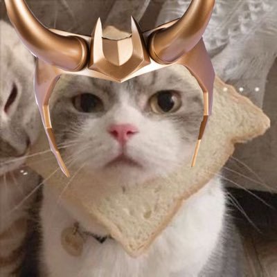 lokibutera's profile picture. 🫧“genius, billionaire, playboy, philanthropist” | 18+ | ♡ @jaden67911