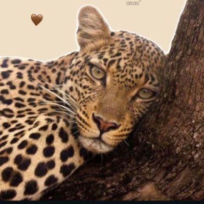 mayrss_97's profile picture. 