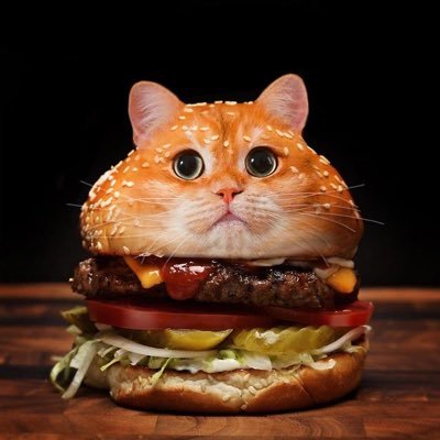 u4003281's profile picture. hi