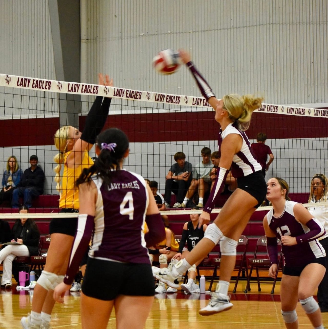 TaraOwens's profile picture. 