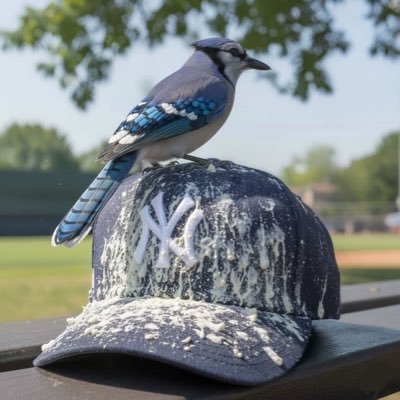 Wellsyaxemen15's profile picture. Acadia University alumni