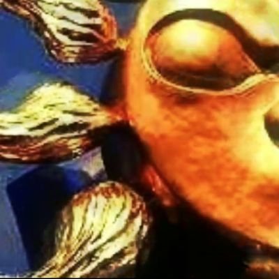 camolouharrybon's profile picture. トルコのお姉さんだって立派な商売なんだから、差別しちゃダメよ