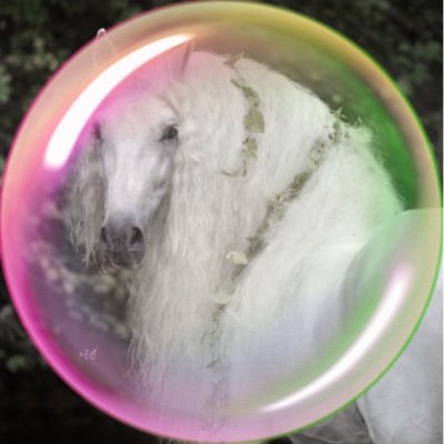 TabisClub's profile picture. girly teengirl stan account 🩷