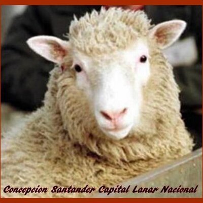 Figuervurner's profile picture. The most important things are the hardest to say, because words diminish them.