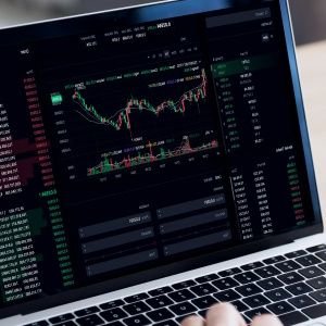 JackTarder30236's profile picture. https://t.co/iefNZssgQ9