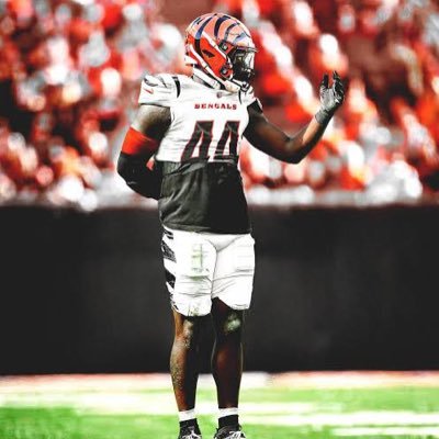 Gamecocks Knicks Vikings: Murray-Boyles enthusiast. LaNorris|Mazeo‘24. Rattler believer. Demetrius Knight connoisseur. Defensive line savant