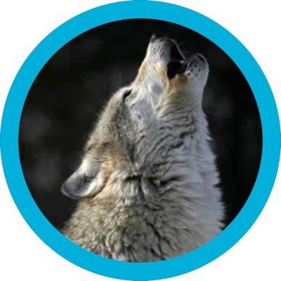 OOSutekichi2's profile picture. 【Rp専用垢 】訪問有難う御座います 🙇 @OokamiSutekichi(main) より𝐅𝐨𝐥𝐥𝐨𝐰 お願いします🫠Rp&♡は本垢相互の方優先でさせて頂きます。気紛れ垢です、不定期参上ご了承置き下さい。🍀 followers稼ぎの方 ❌宗教、エロ、副業❌😛 DM 関知しません❌親密な方🙆‍♀️