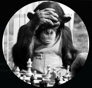 tintedxyz's profile picture. 