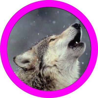 OokamiSutekichi's profile picture. ご訪問頂きまして有難う御座います🙇‍⤵︎ ｢君子は言を以て人を挙げず、人を以て言を廃せず｣孔子。不毛な争い事は嫌いです✩.*˚ ☆ 基本♡専用垢です@OOsutekichi2 (Rt専用） Ꮲᦞ𐌺ᥱ𐌼ᦞᥒ Ꮐo🎶📚📷✨🚗³₃ 🌈 宗教、エロ、副業❌😛 DM親密な方以外🤐 Follow歓迎😊相互🫠