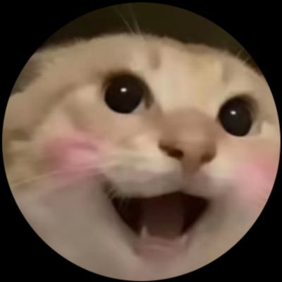 hajimi_CTO_BNB_'s profile picture. 中文最火的MEME猫咪-哈基米 获得全网千亿播放量和无数的二创音乐 由粉丝驱动的CTO账号 Hakimi, China's most popular MEME cat, has hundreds of billions of hits and countless second-hand music.