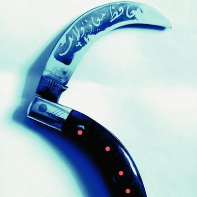 JananJany47212's profile picture. 