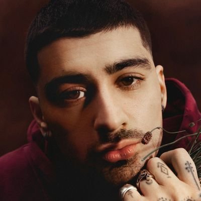 zaynonstats's profile picture. Your go-to charts source about the singer-songwritter Zayn Malik.