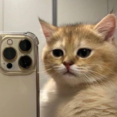 raissamikelle's profile picture. 