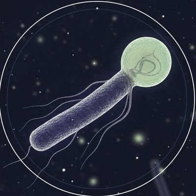 virus_401's profile picture. No more remorse.