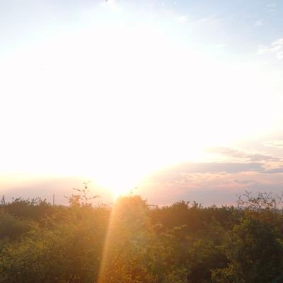 narayan61729941's profile picture. Just a simple human.

Interested in completely two different topics Indian Cinema and Indian Infra