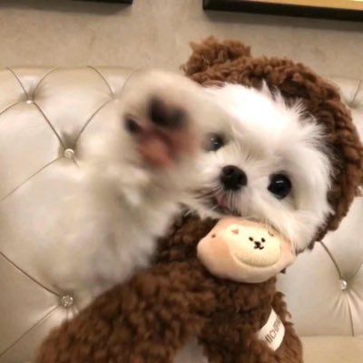 MohdAimi99's profile picture. Allah is a first