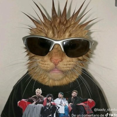 folkholicc's profile picture. everyone could be a star and a showgirl