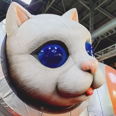 inuoppo's profile picture. 一応開幕時からのガンバサポ。脚U-23OB達はひっそり応援中。永遠の推しは佐藤晃大。キャプ翼や星矢辺りからの年季入った腐り様です。FGO界隈のニキ属性。pkmnは緩くプレイ。rtばかりのアカウントはフォローしません。
最近たたうらにはまりました。新ジャンルたーのしー！！
