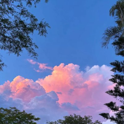 amzyx35316459's profile picture. 💫 挑戦を恐れずに一歩踏み出す勇気こそが、人生を大きく変える鍵になる。