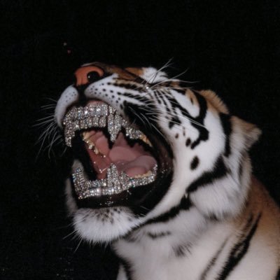 ZHIXTIN1207's profile picture. 