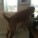 よっさん - @don3mori - Twitter