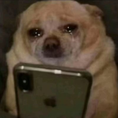 lbuyfeetpics's profile picture. Girls, I’m buying feet pics. I really like girls with smelly feet/shoes. also into body fluids like spit/snot/poop