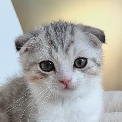 terakale8's profile picture.