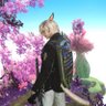 narujol_3's profile picture. 最近はFF14メインでたまにエペになってます🐶