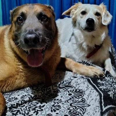 ivanandresmesch's profile picture. 