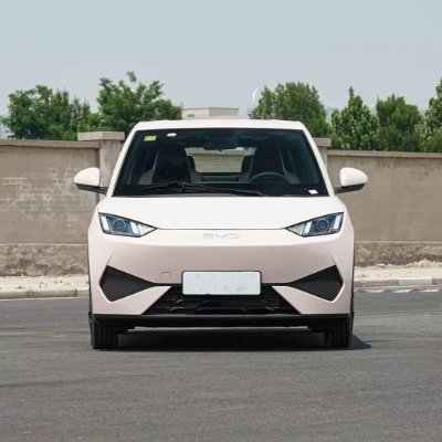CYTauto2025's profile picture. new / used cars supplier from China