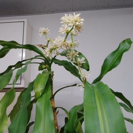 pqvPPDMzt038939's profile picture. 花🌷🌸🏵️🪻🍀が大好きな
私です