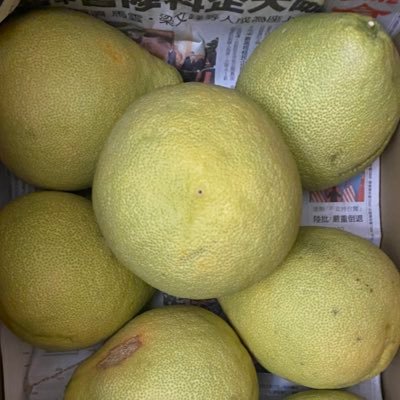 Hsieh_Je's profile picture. 🇹🇼 Post my artwork irregularly Welcome to communicate