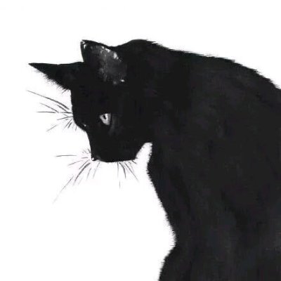 poquan7's profile picture. 🚀公众号同名  🚀微信poquan7 欢迎加我交流
🚀关注AI、个人IP、知识付费、自媒体、跨境出海相关话题
🚀分享行业资讯以及个人观点，推特是我备忘录，部分来自我觉得好的内容，也有一些是我个人的分享。