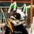 Sh4d0wQs's profile image