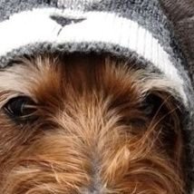 Sebast87743's profile picture. 