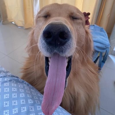 CaTownsend15's profile picture. 🌍 Panamanian in Monterrey 🇵🇦➡️🇲🇽 | Dad of 3 amazing kids. 2 awesome boys & 1 gorgeous princess 💙💖 | Soccer & basketball fanatic ⚽🏀