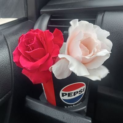 Weerapon252548's profile picture. 