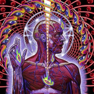 lovepurer's profile picture. 